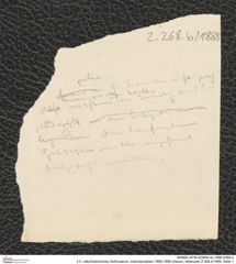 k.k. naturhistorisches Hofmuseum, Intendanzakten 1885-1896 (Hauer), Aktenzahl Z.268.b/1888, Seite 1